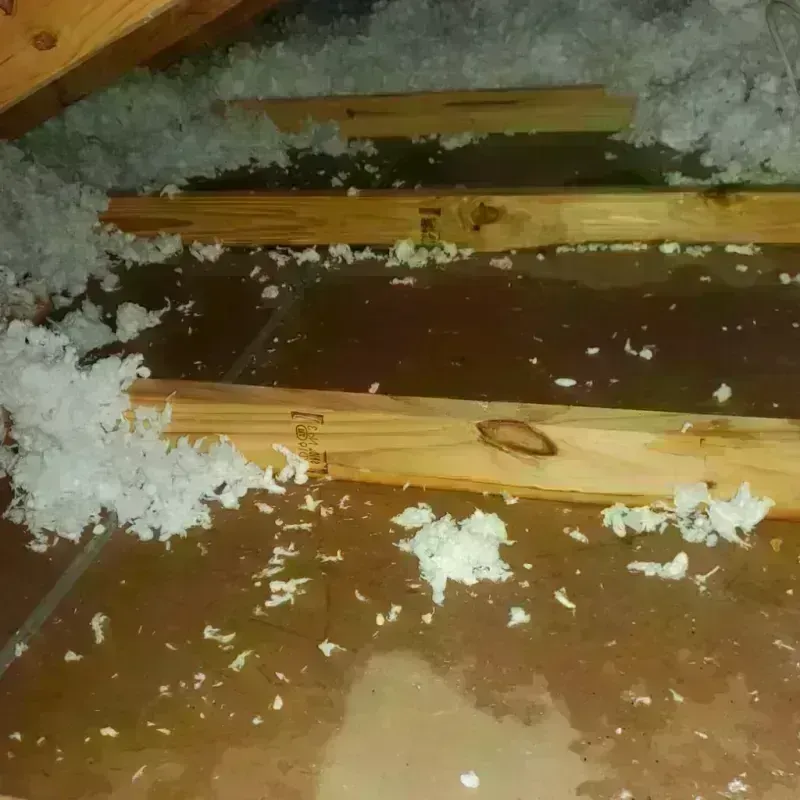 Attic Water Damage in Musselshell County, MT